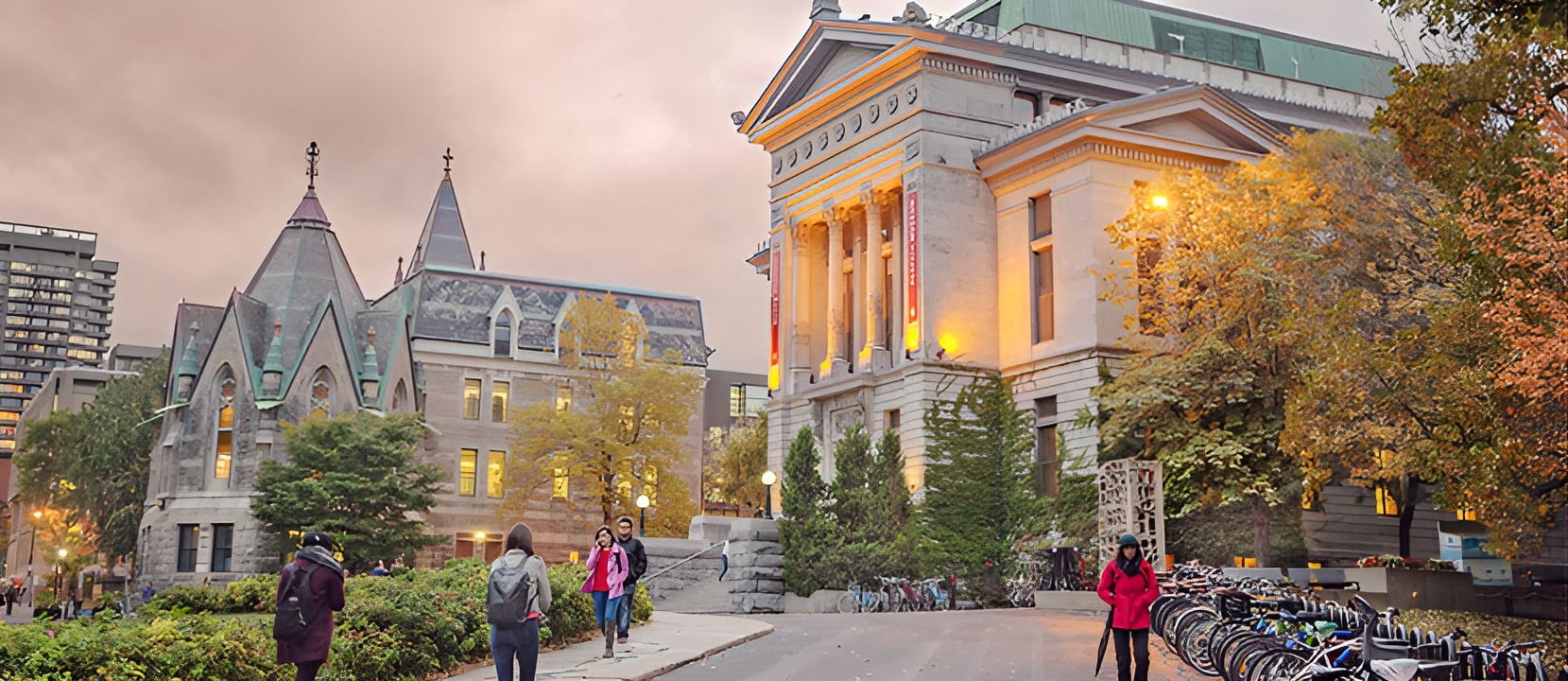 Mcgill Banner